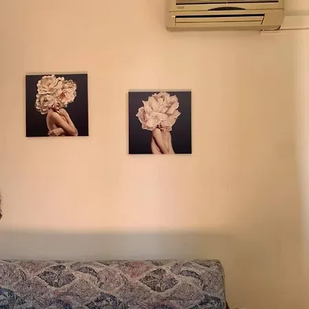Apartment Serendipity Apartment